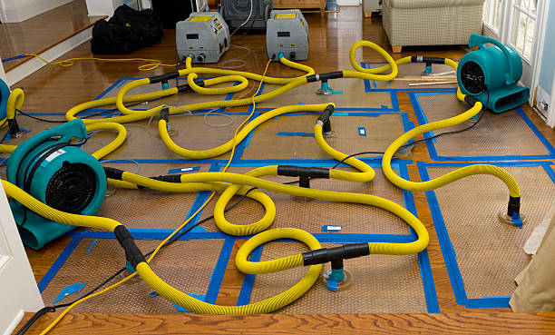 Professional Crawl Space Water Removal technician working in Ida, MI